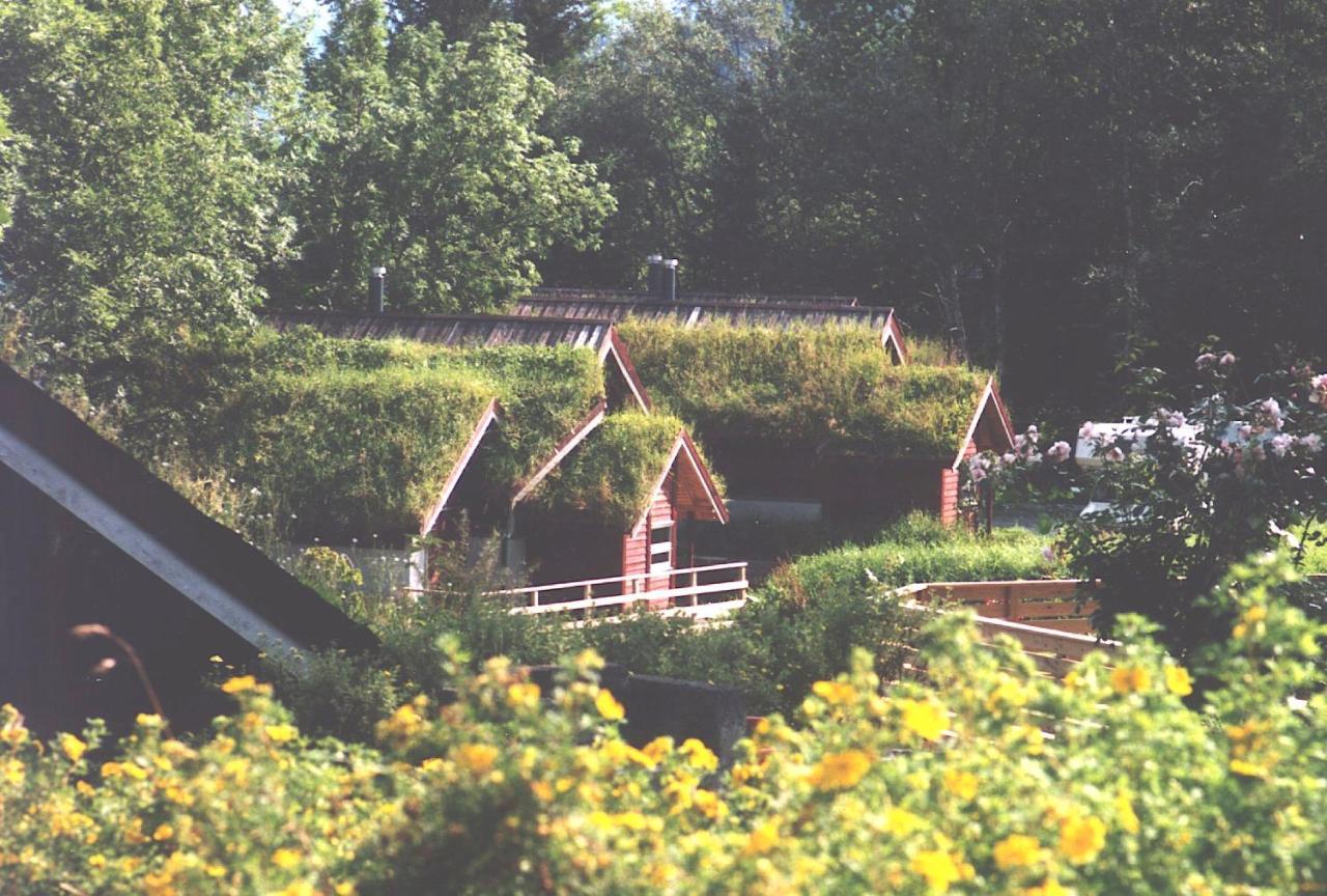 Villa Hardanger Feriesenter Nesvika Norheimsund Esterno foto