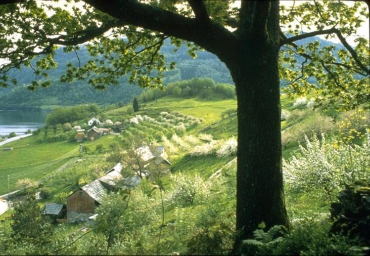 Villa Hardanger Feriesenter Nesvika Norheimsund Esterno foto