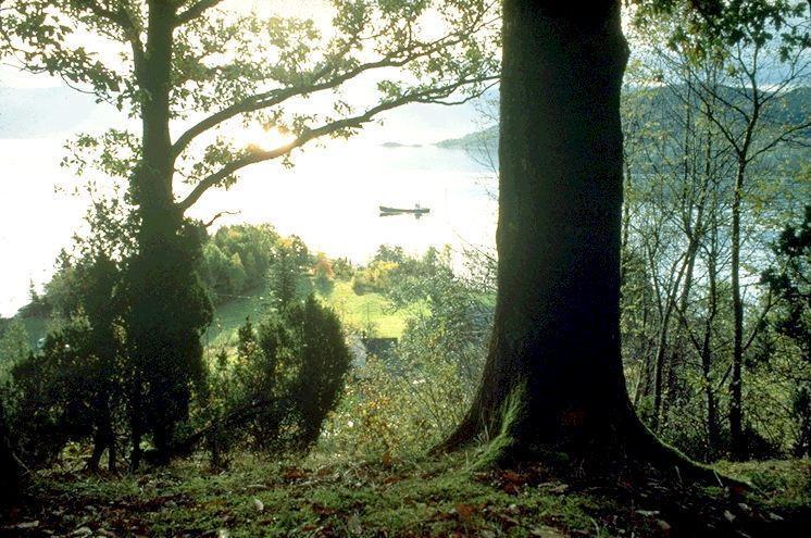 Villa Hardanger Feriesenter Nesvika Norheimsund Esterno foto